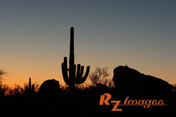 Desert Sunset