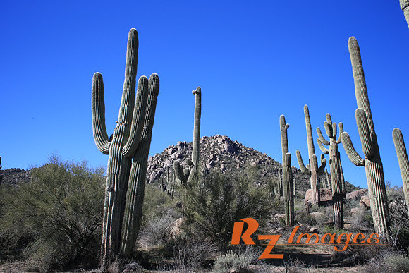Arizona Scenic Landscape. Brown’s Ranch.