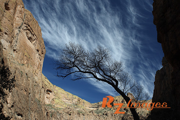 Desert Landscape. Tonto National Forest. Arizona.