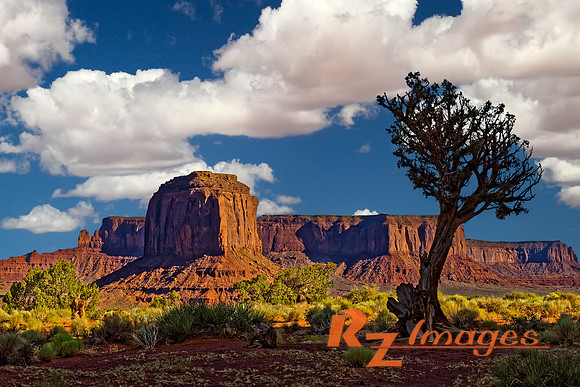 Monument Valley from Artist's Point, Arizona.