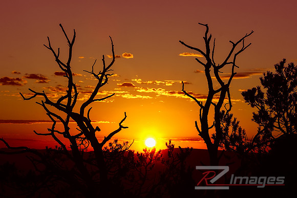 Grand Canyon Sunrise