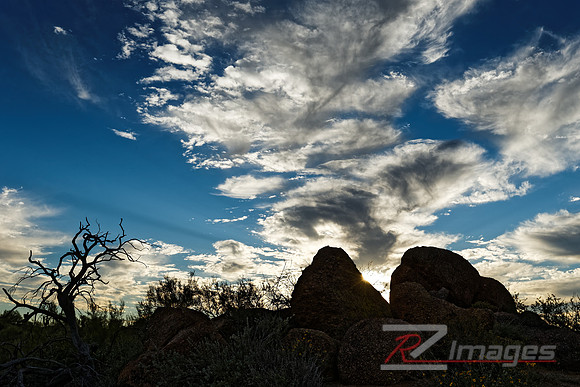 Desert Landscape at Sunset.