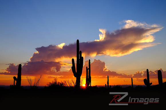 Desert Sunset-Tonto National Forest.