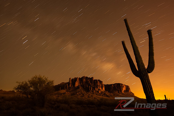 Star Trails with Saguaro Cactus. Lost Dutchman State Park.