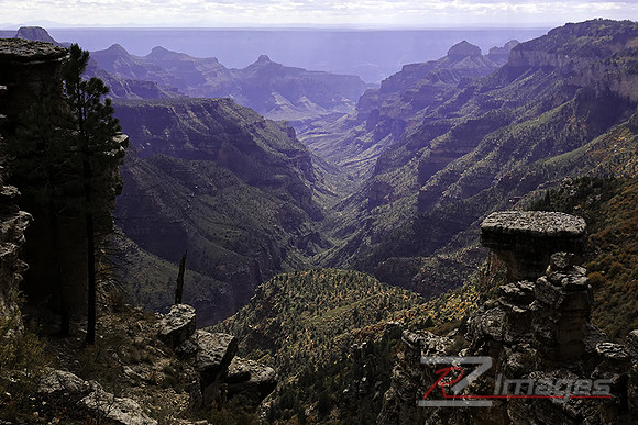 Breathtaking View Of The Grand Canyon From Cape Royal-North Rim.
