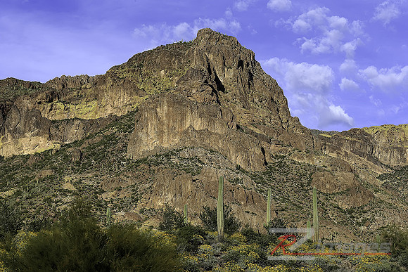 Superstition Mountains-Tonto Nat. Forest