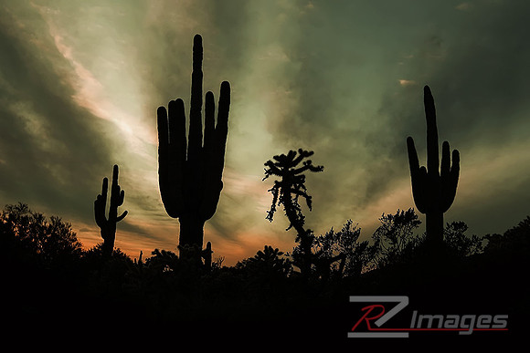 Usery Mtn. Recreation Area at Sunset