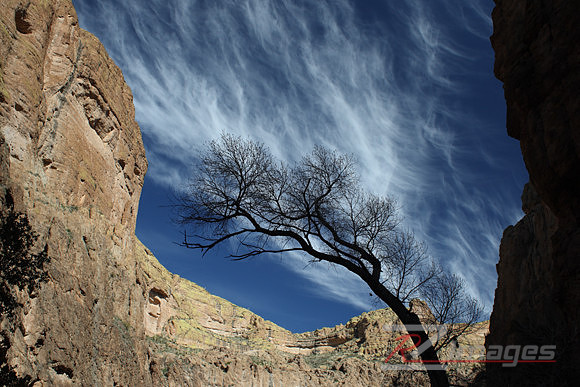 Desert Landscape. Tonto National Forest. Arizona.