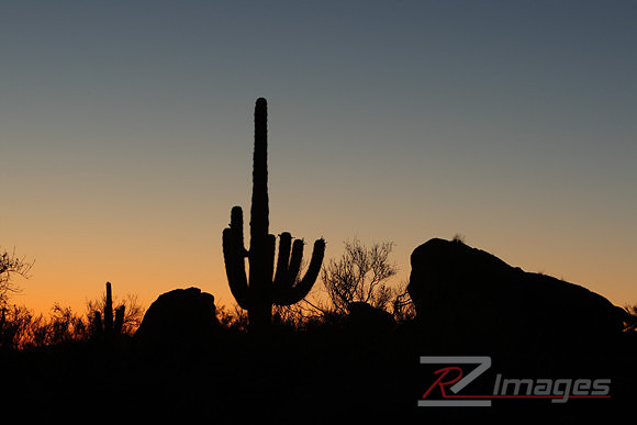 Desert Sunset