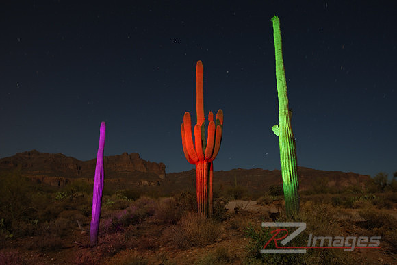 Desert Sunset