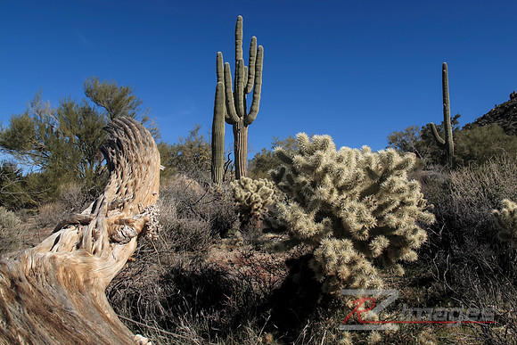 Arizona Scenic Landscape. Brown’s Ranch.