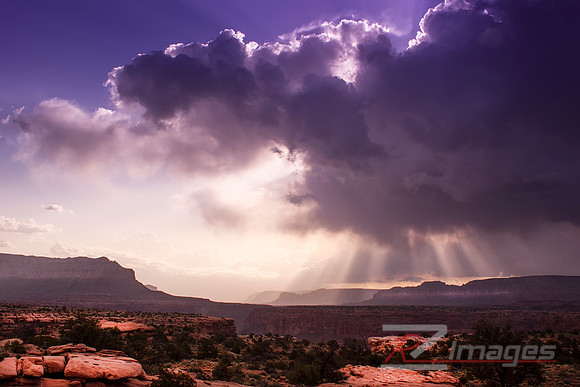 Breathtaking View Of The Grand Canyon From Toroweap. North Rim.