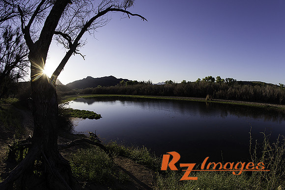 Lower Salt River at Coon Bluff in the Tonto National Forest recr