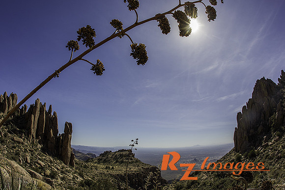View from the top of Superstition Mountain. Lost Dutchman State