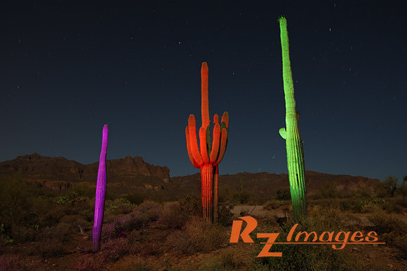 Desert Sunset