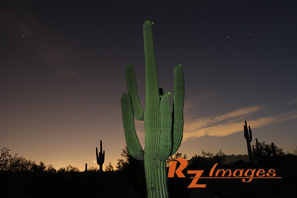 Desert Sunset