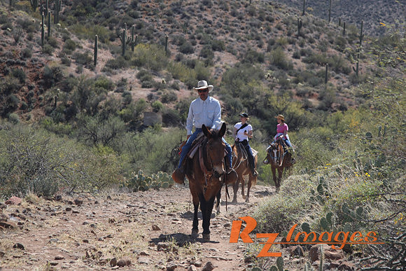Horseback Riding at Spur Cross