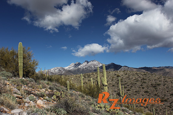 Four Peaks with Snow-Tonto National Forest.