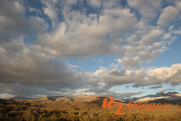 Desert Landscape. Tonto National Forest. Arizona.