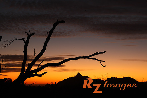 Desert Sunset-Pinnacle Peak