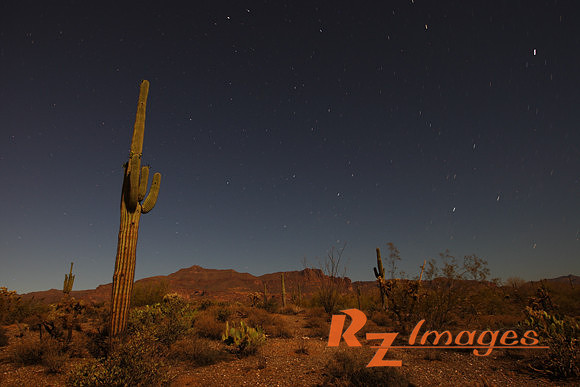 Desert Sunset