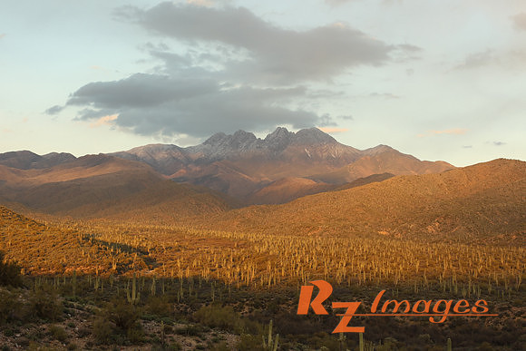 Four Peaks-Tonto National Forest.