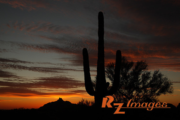 Desert Sunset-Scottsdale, Az.