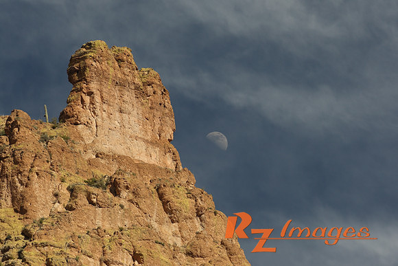 Desert Landscape. Tonto National Forest. Arizona.