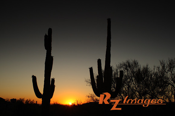 Desert Sunset