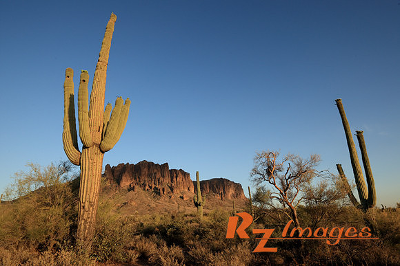 Superstition Mountains. Lost Dutchman State Park.